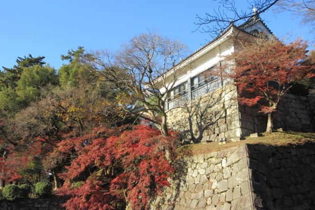 2025年12月7日（日）の紅葉情報を公開しました！