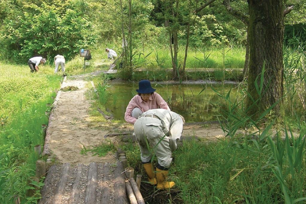 2026年1月「いきもり実践隊（ビオトープ整備ボランティア活動）」を実施します！