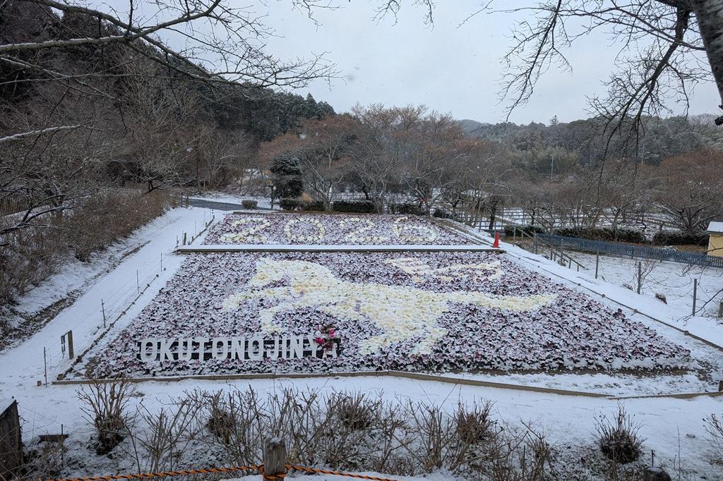 1月12日(月祝)の奥殿陣屋【朝は雪が積もりました】