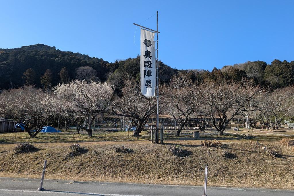 2月21日(土)梅の開花情報