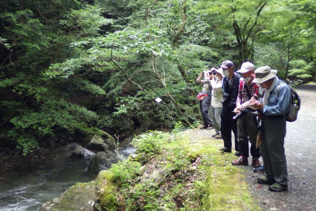 2026年くらがり渓谷自然観察会の予定を掲載しました！