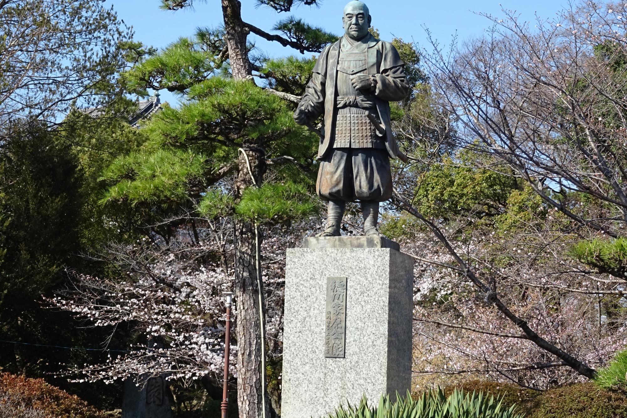 2026年3月24日（火）桜の開花状況を公開しました！