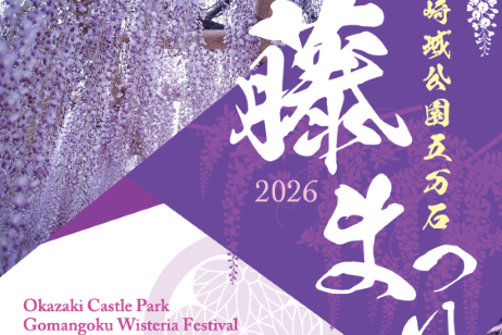 「藤まつりライトアップを前倒しで４月17日より開催中です。」