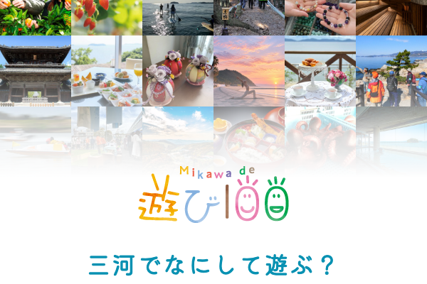 「MIKAWA de 遊び100」に岡崎の体験プログラムを掲載中です！