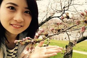 【花も団子も♪】　弓依の桜レポート☆28.3.31 