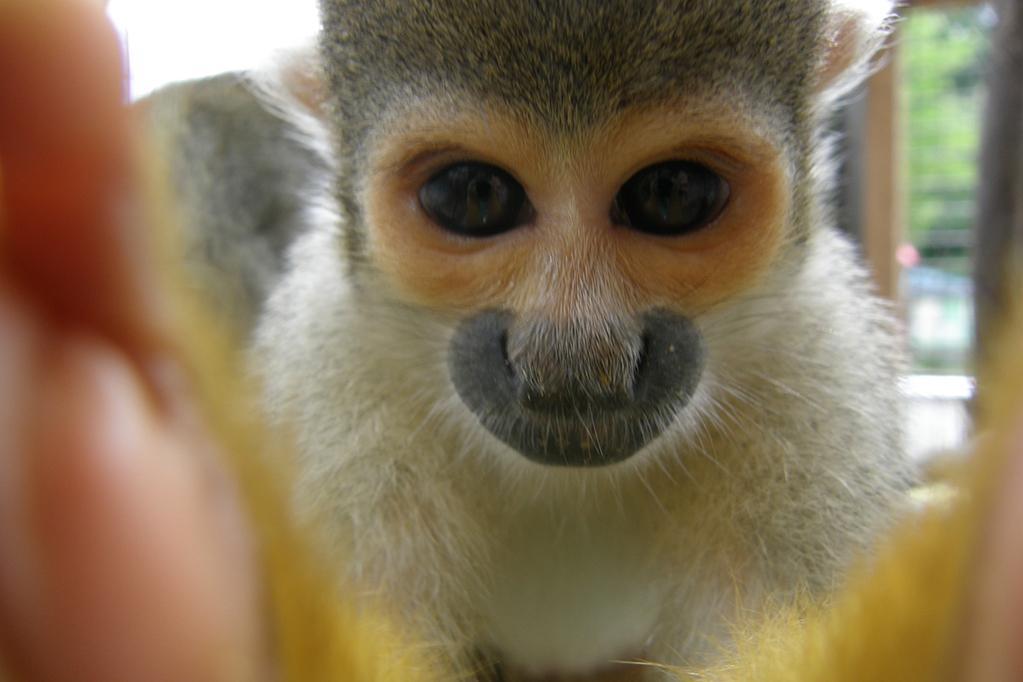 東公園動物園、本日1月3日（水）より通常営業です！