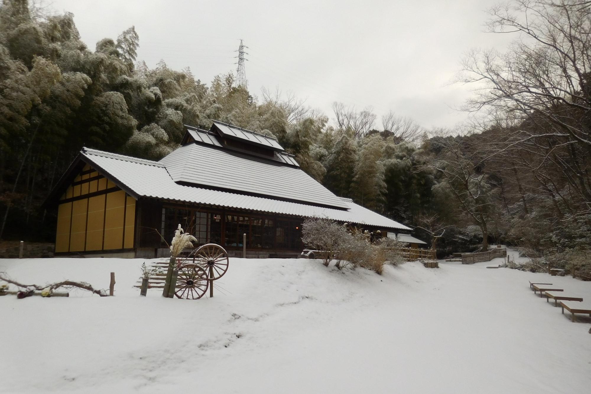 体験の森の雪景色