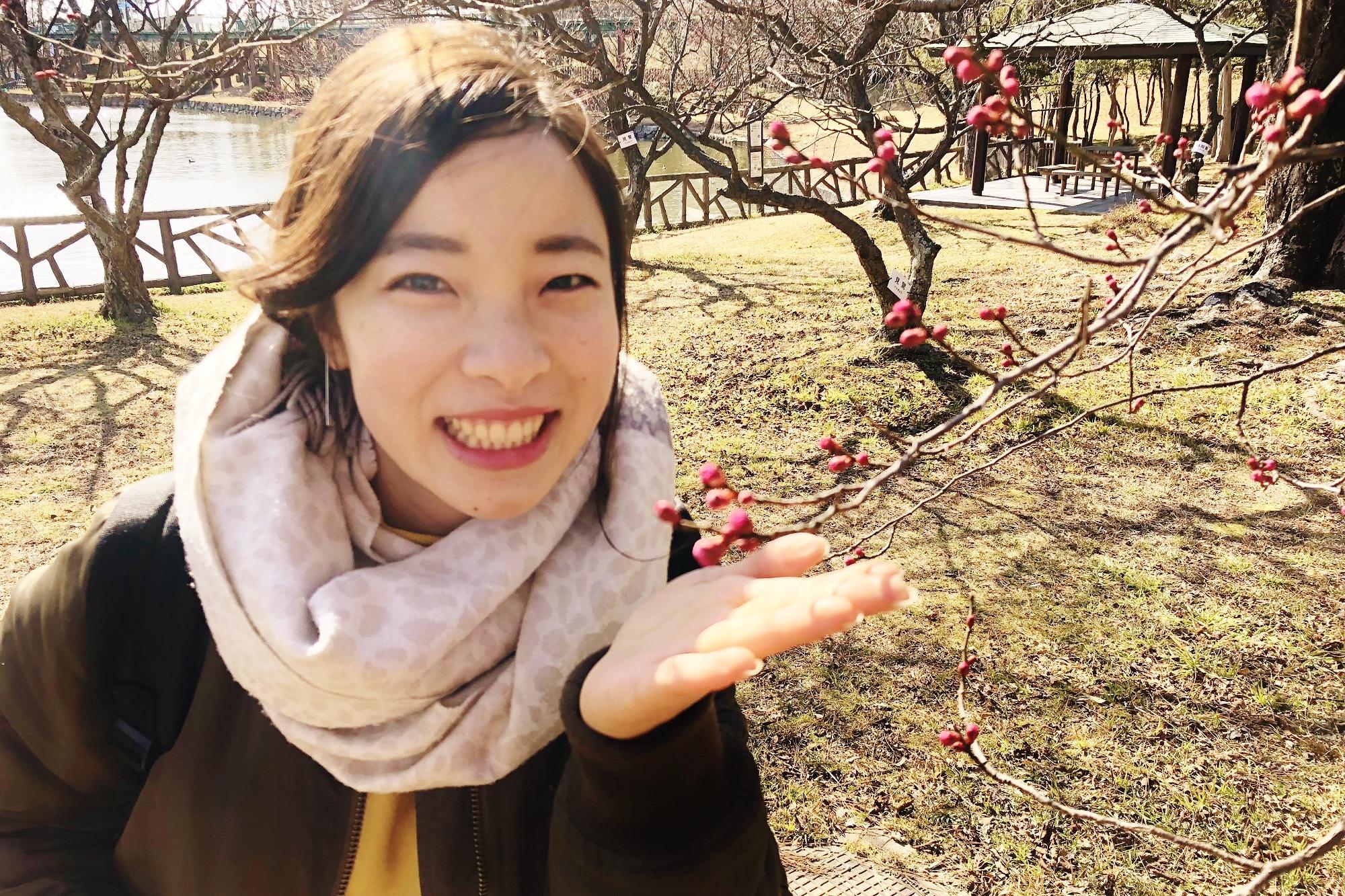 南公園の梅林の開花レポート(観光大使)