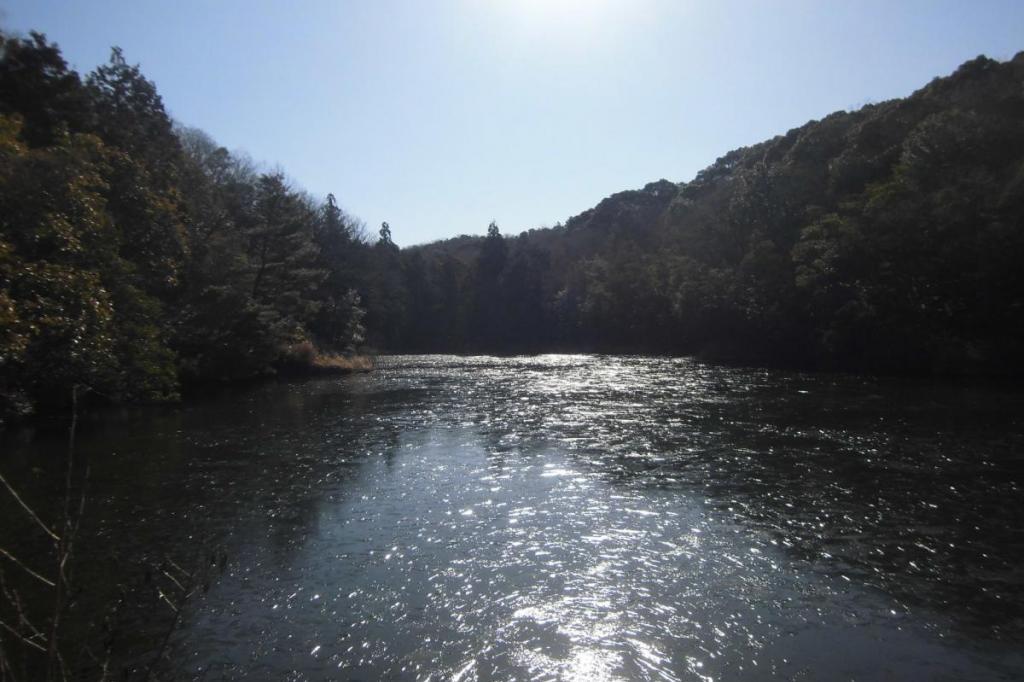 極寒の「北山湿地」春はもうすぐそこまで来ています。