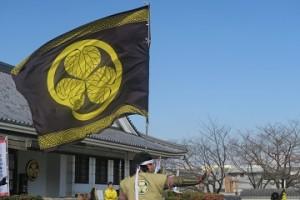  岡崎城公園デビューしました！ 