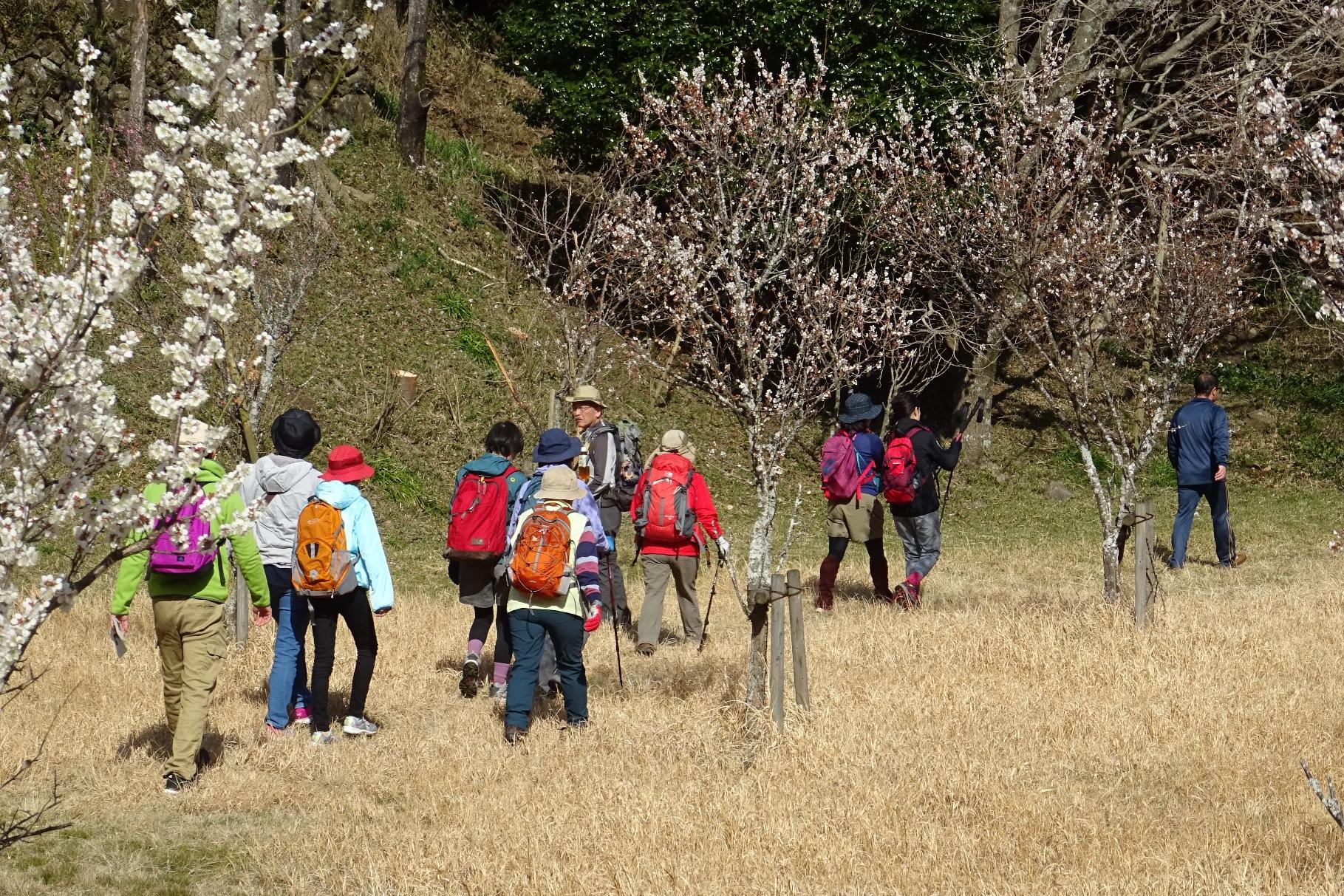 額堂山トレッキングを実施しました！