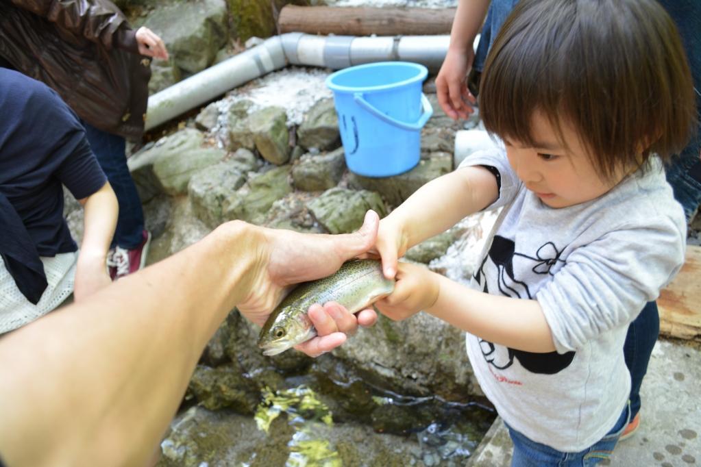 くらがり渓谷で「マス釣り・マスつかみ」が楽しめます！