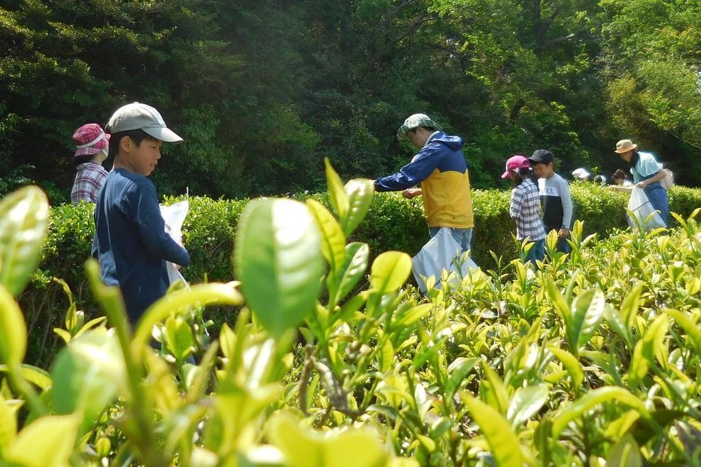 おかざき自然体験の森「6月」のイベントはこちら