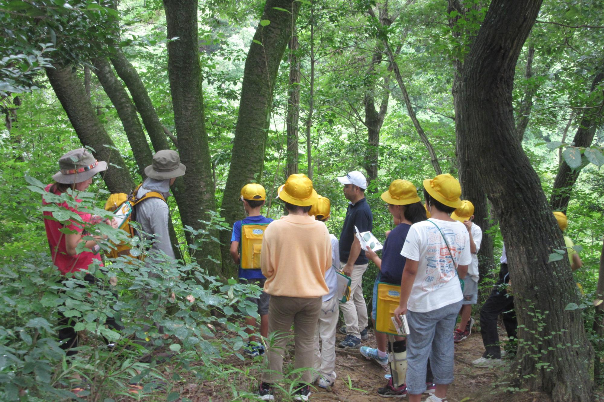 「夏休み！自由研究基礎講座（2回コース）」を開催します！