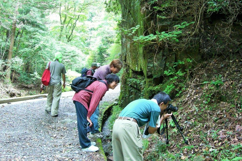 次回の「くらがり渓谷自然観察会」は9月9日（日）です！