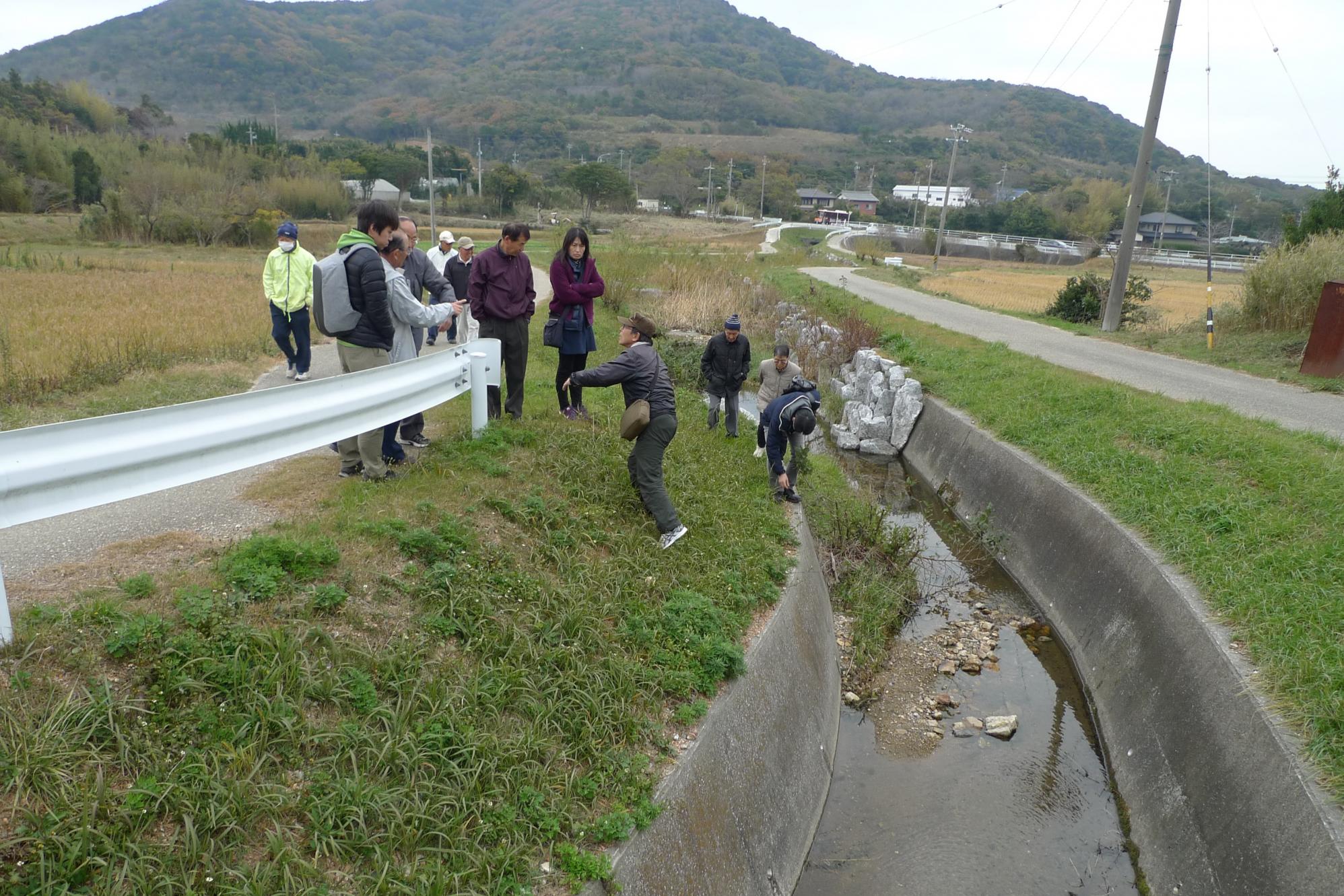 「ホタル保護活動視察バスツアー」を開催します！参加者募集中！