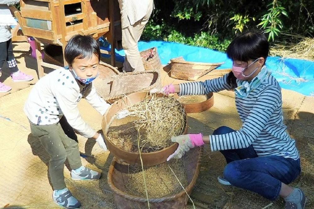 10月13日（土）昔ながらの稲作体験「脱穀」を行います