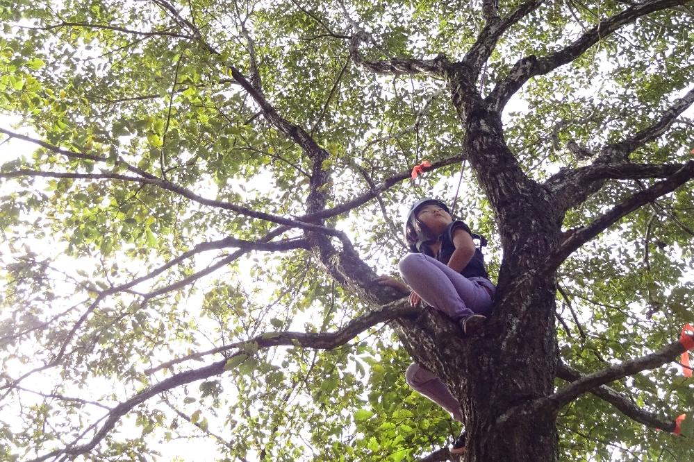 「木登り達人塾」「森の巨大ブランコ＆木登りあそび」を開催しました！