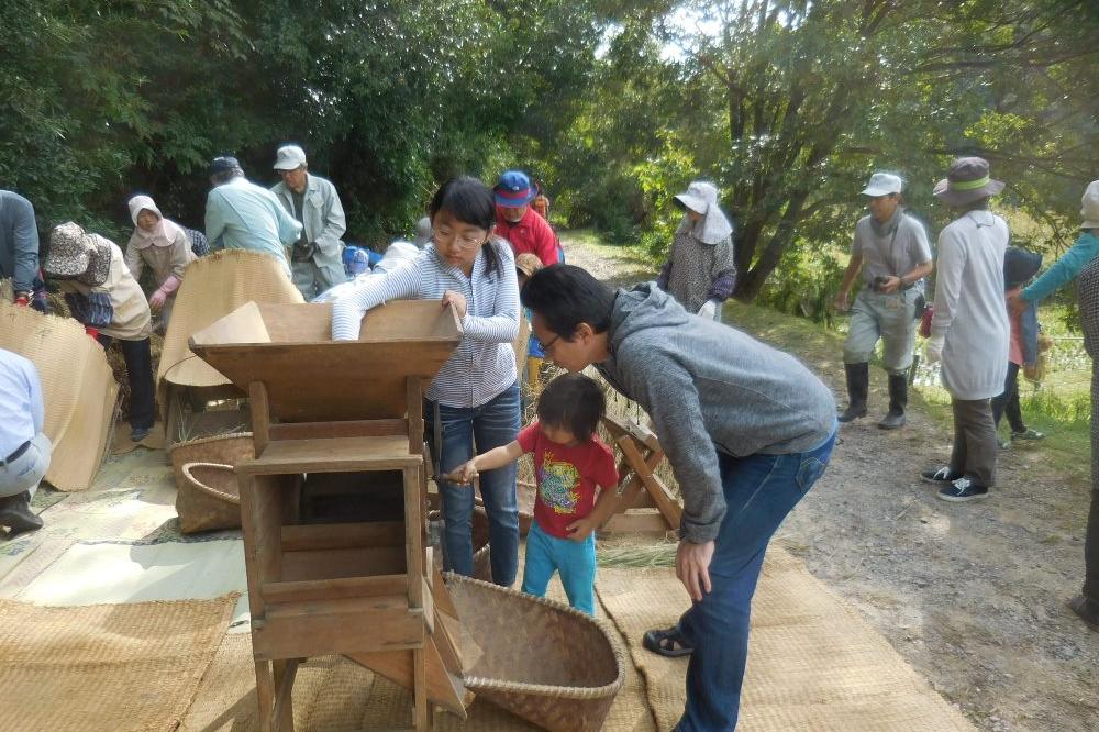 「昔ながらの稲作体験」のフィナーレ！脱穀作業を実施しました。