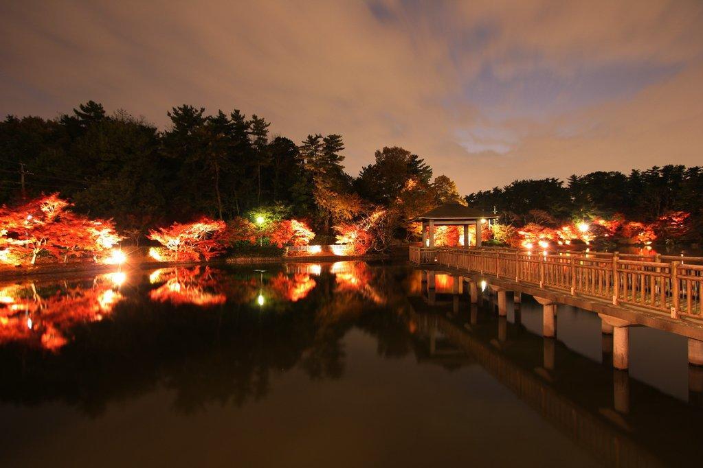 11月22日（木）から東公園の紅葉ライトアップを行います！