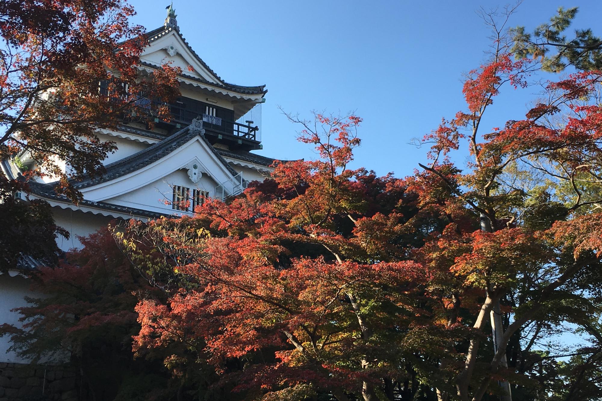 2018年11月27日の紅葉状況を公開しました！