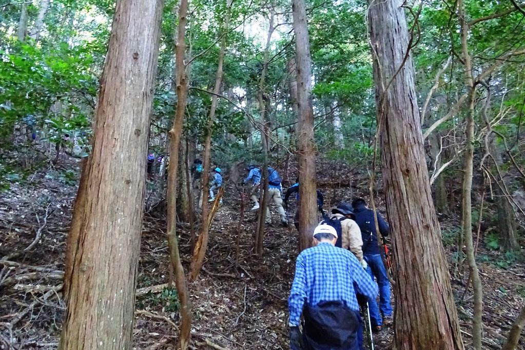 巡礼の道（額堂山）トレッキングを実施しました！