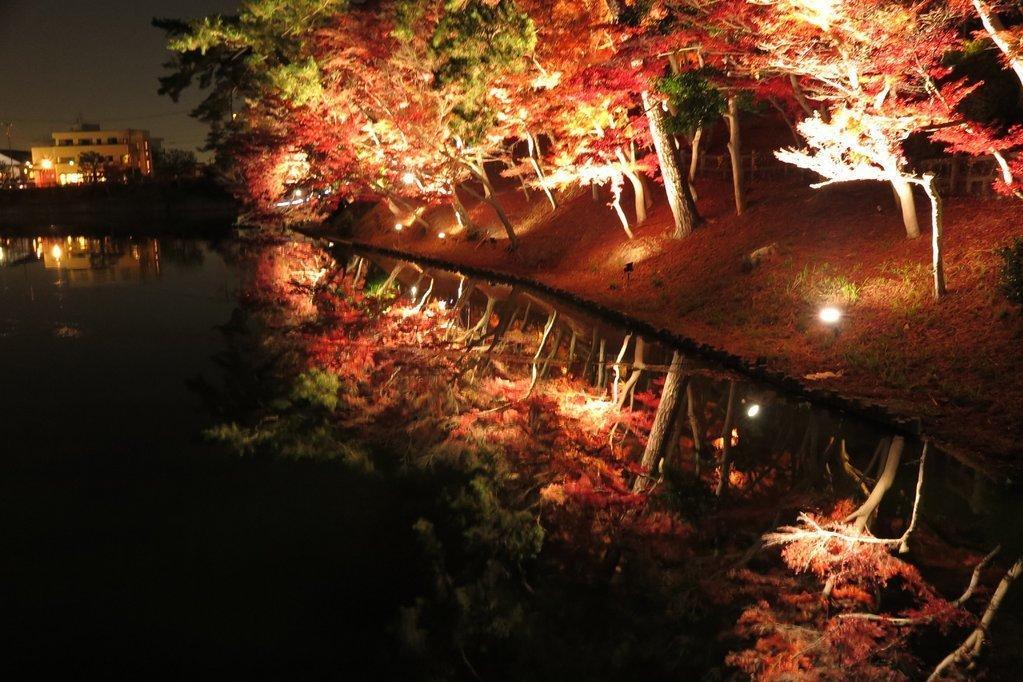テレビ愛知「土曜なもんで！」で岡崎の紅葉が紹介されます！