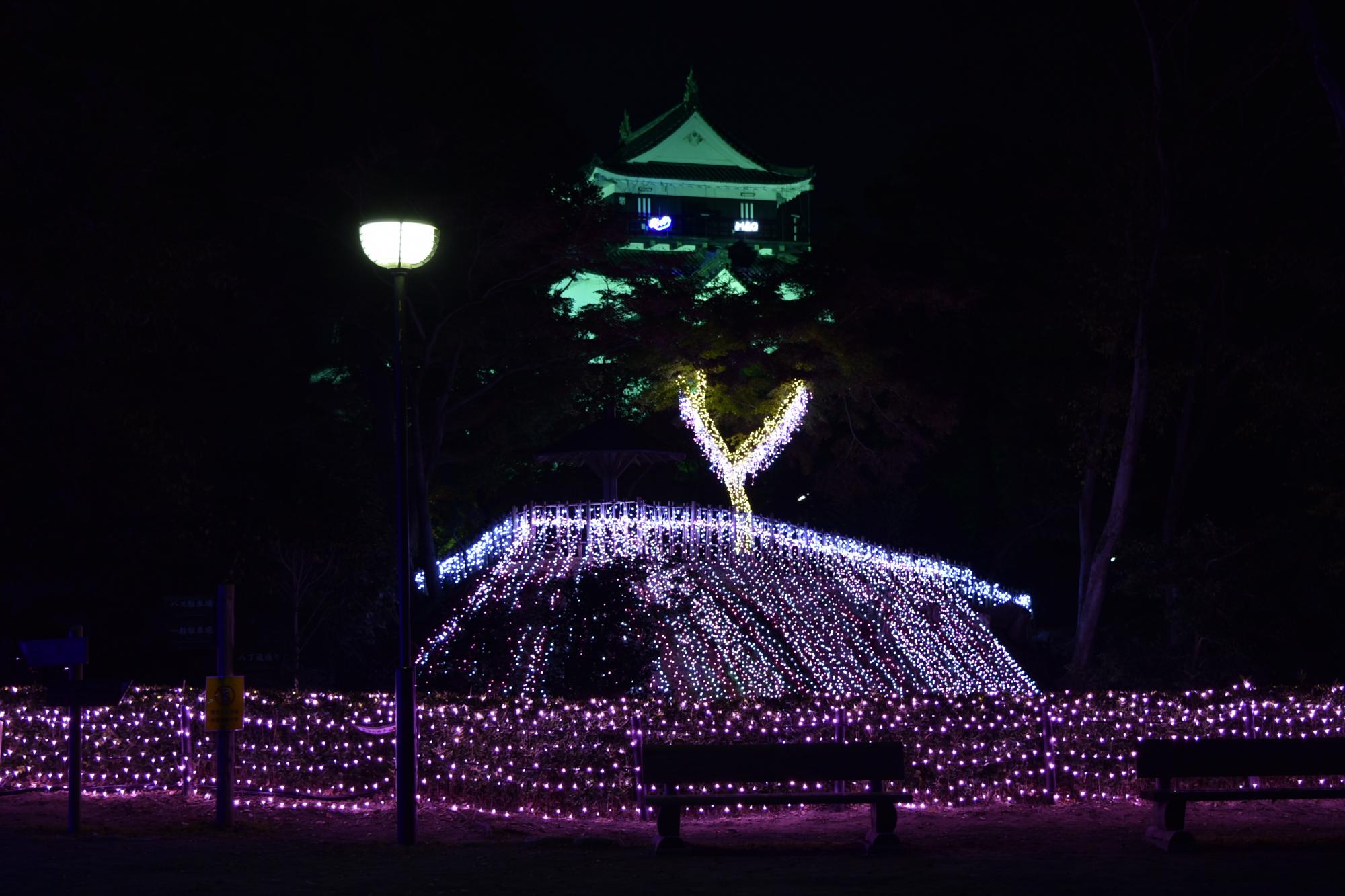 岡崎公園でイルミネーション点灯中です！