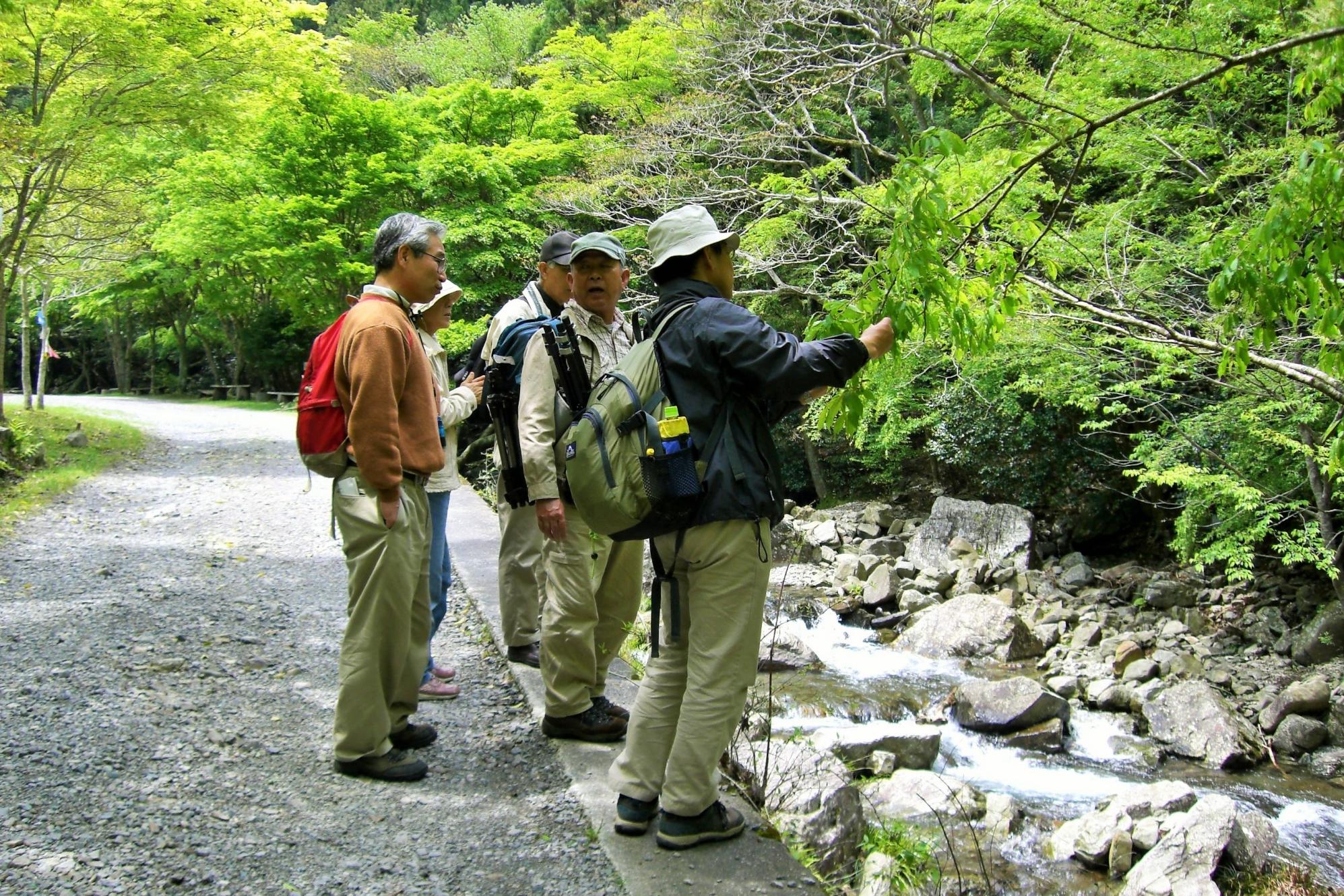 「くらがり渓谷自然観察会」ページが更新されました