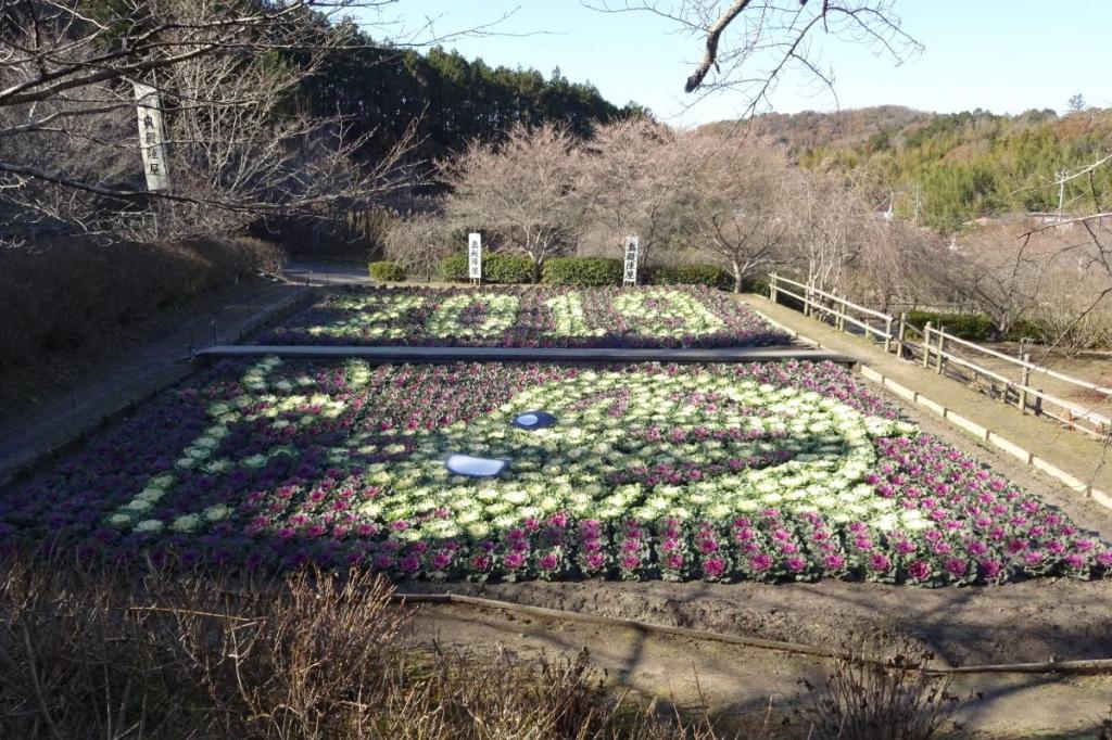 2019年版「葉ボタンで干支」完成しました！