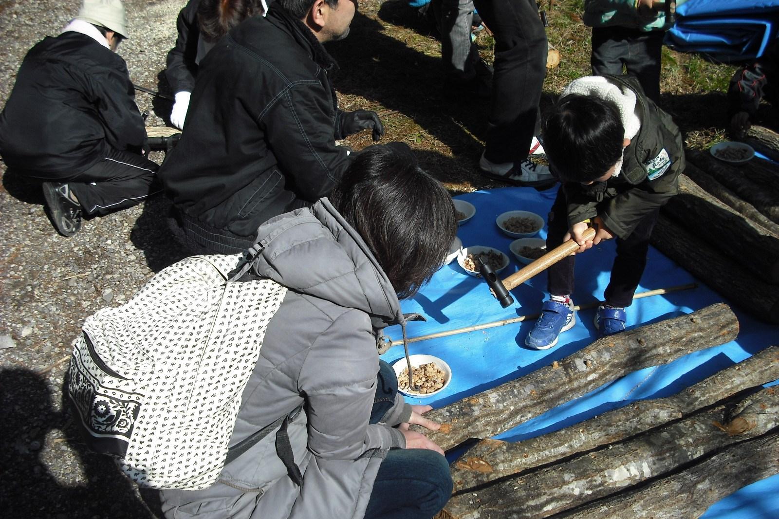 「しいたけの菌打ち体験＆里山に登ろう！」を開催します！