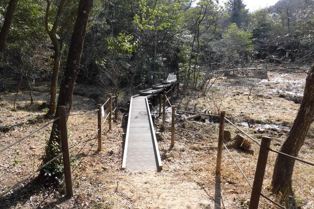 北山湿地の木道改修工事は完了しました。