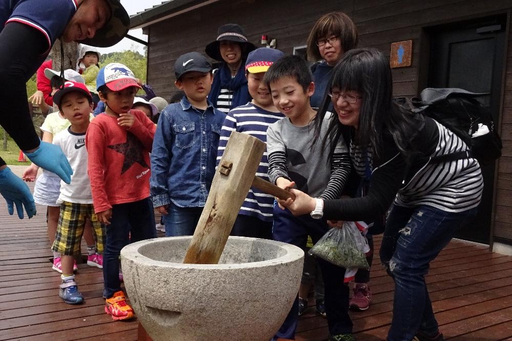 今年も大好評！「ヨモギを摘んでおもちつき」