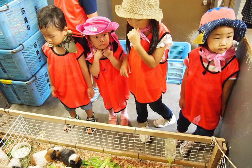 「どうぶつえんうらがわ探検」を開催します！【東公園動物園】