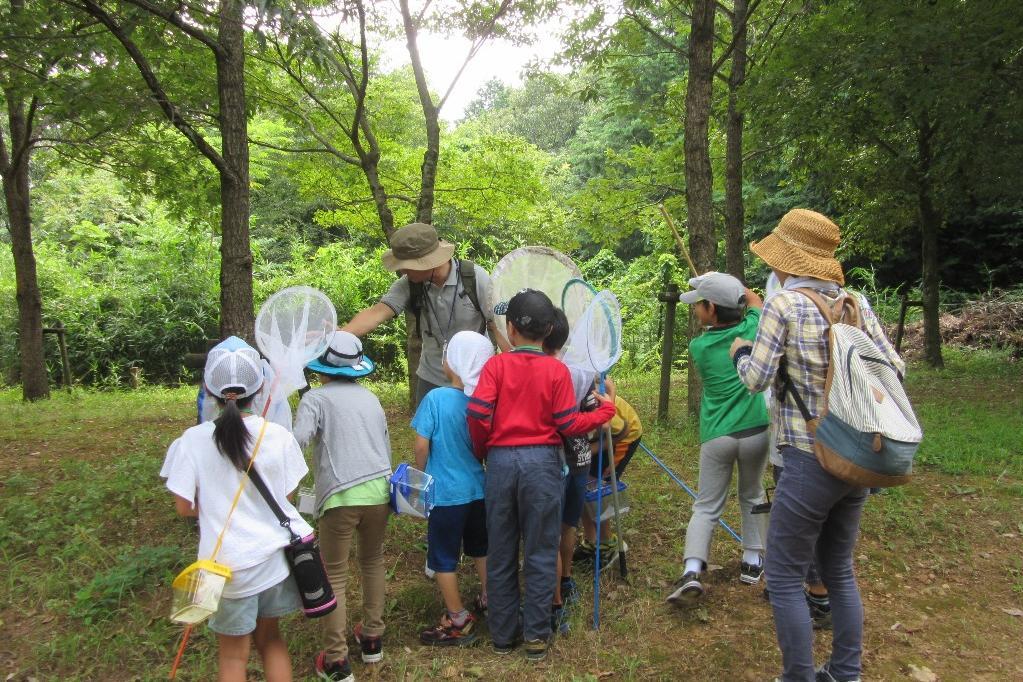 「昆虫教室親子バスツアー」の受付開始しました！（こども自然遊びの森　わんPark）