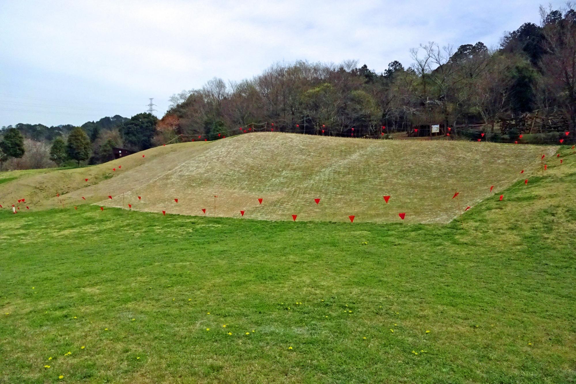 わんParkの「芝すべり」はお休み中