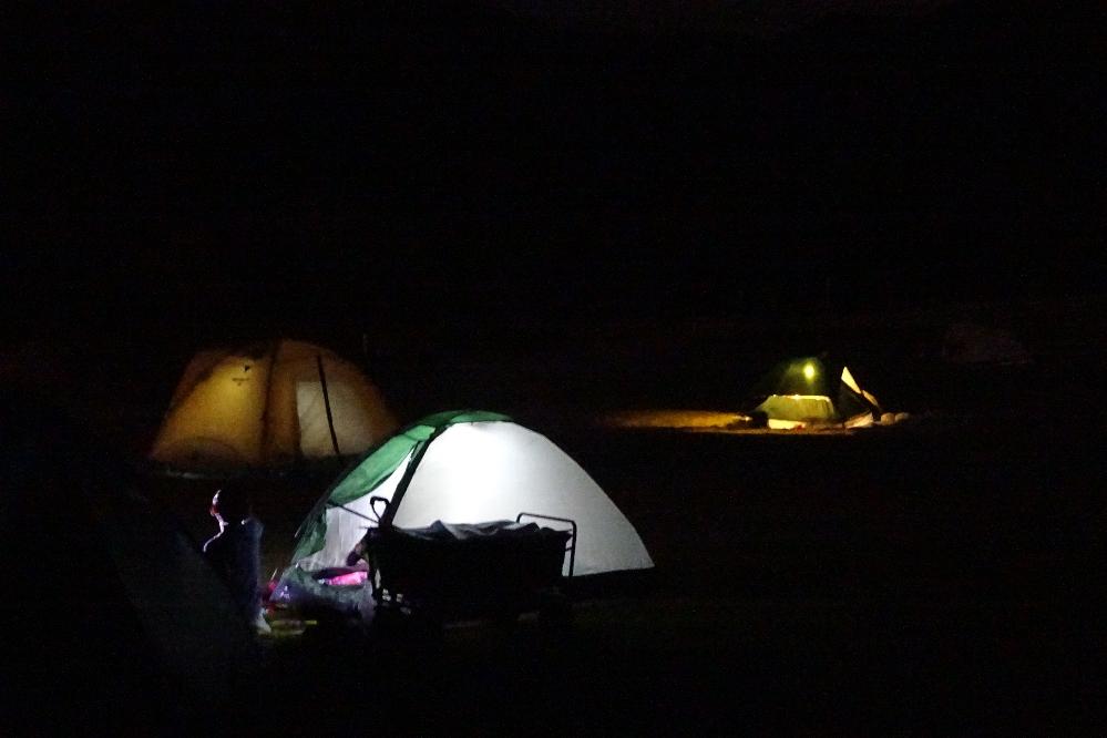 わんPark初のイベント「カブトムシ＆流星群観察キャンプ」を実施しました！