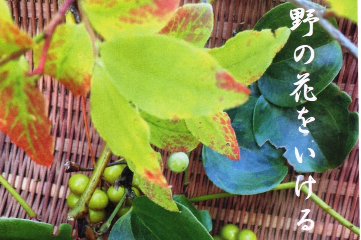 旧本多忠次邸で野草の会いけばな展「野の花をいける」を開催します！