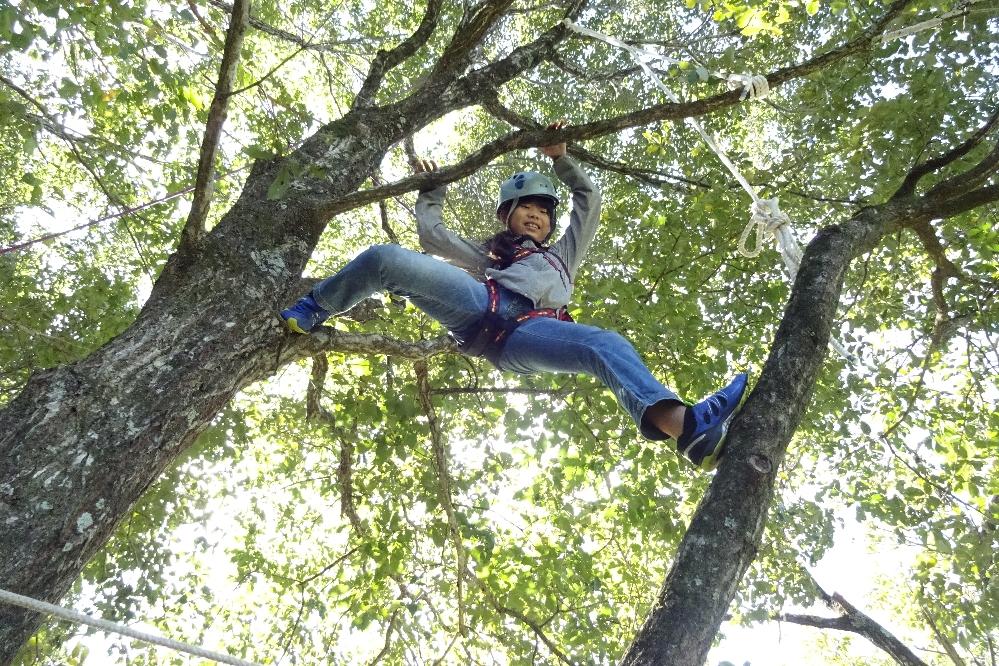 木に思い切り親しむ！「木登り達人塾」「森の巨大ブランコ」を開催しました！