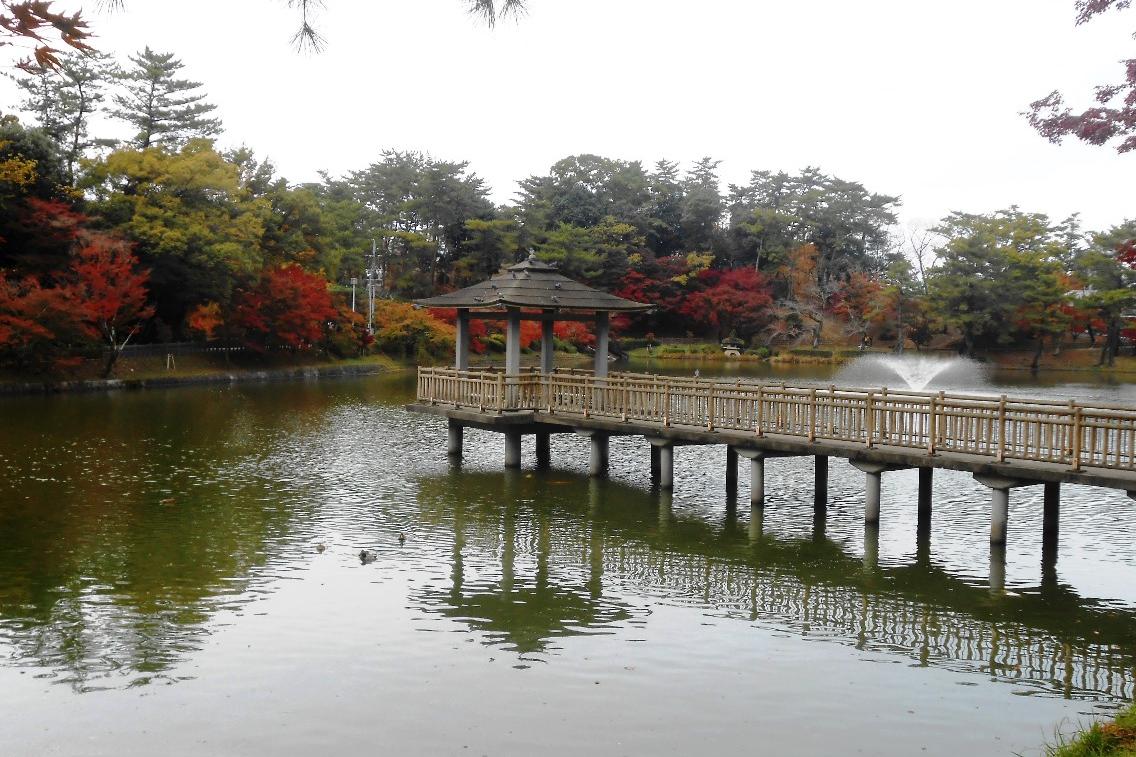 2019年の東公園紅葉情報をお届けします！