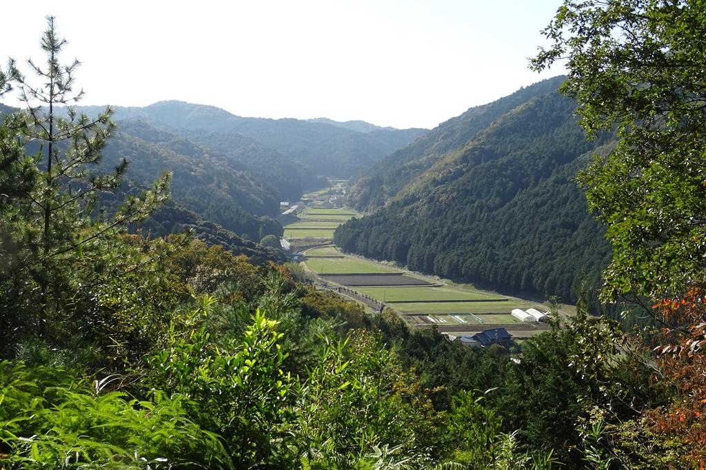 鳥川ホタルの里トレッキング 