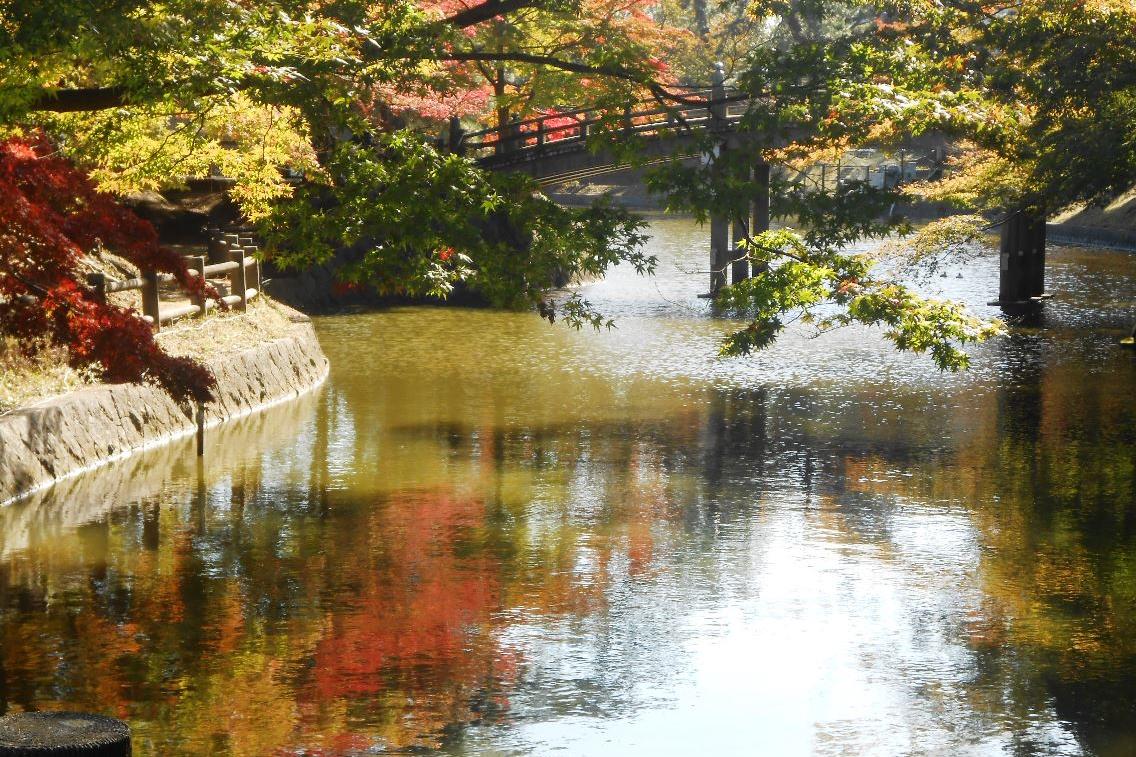 11月12日（火）の東公園紅葉情報を更新しました。