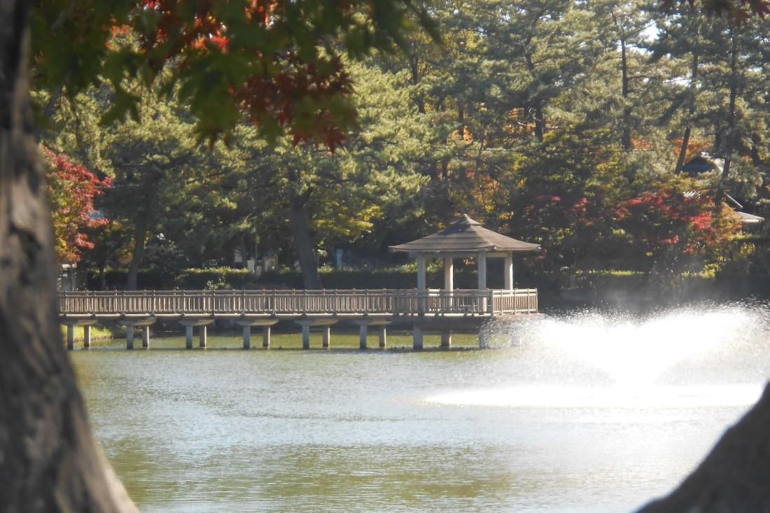 11月15日（金）の東公園紅葉情報を更新しました。