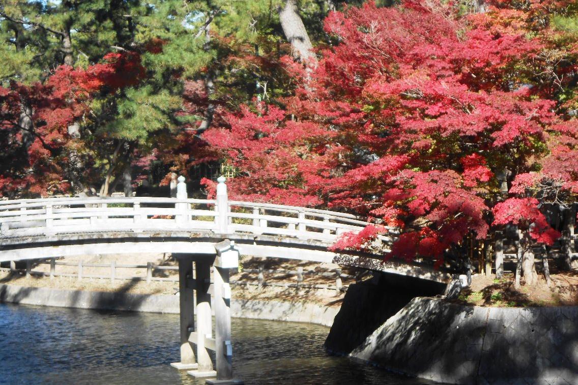 11月20日（水）、東公園の紅葉が見頃を迎えてきました。