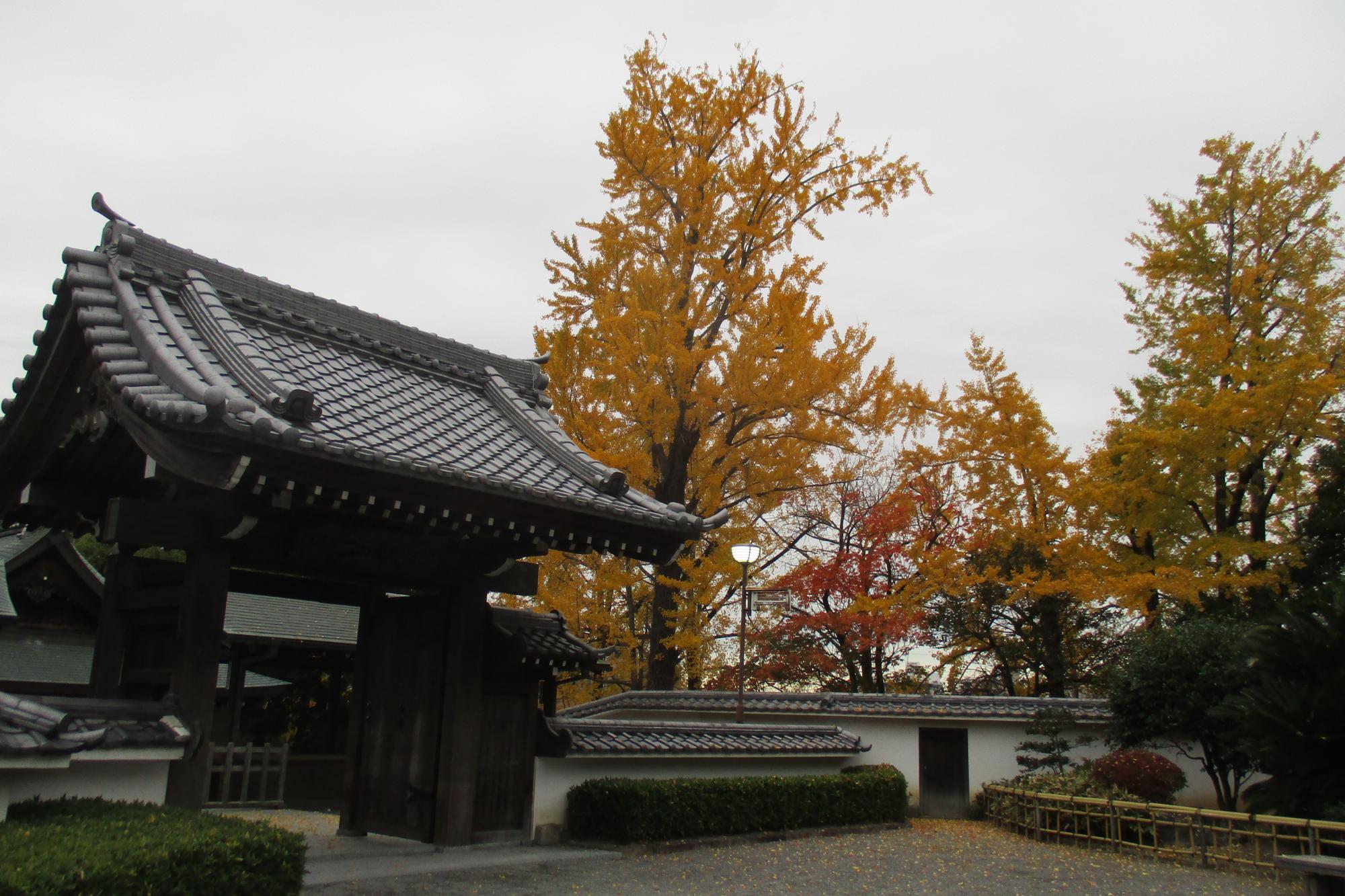 2019年11月26日(火)の紅葉状況を公開しました！