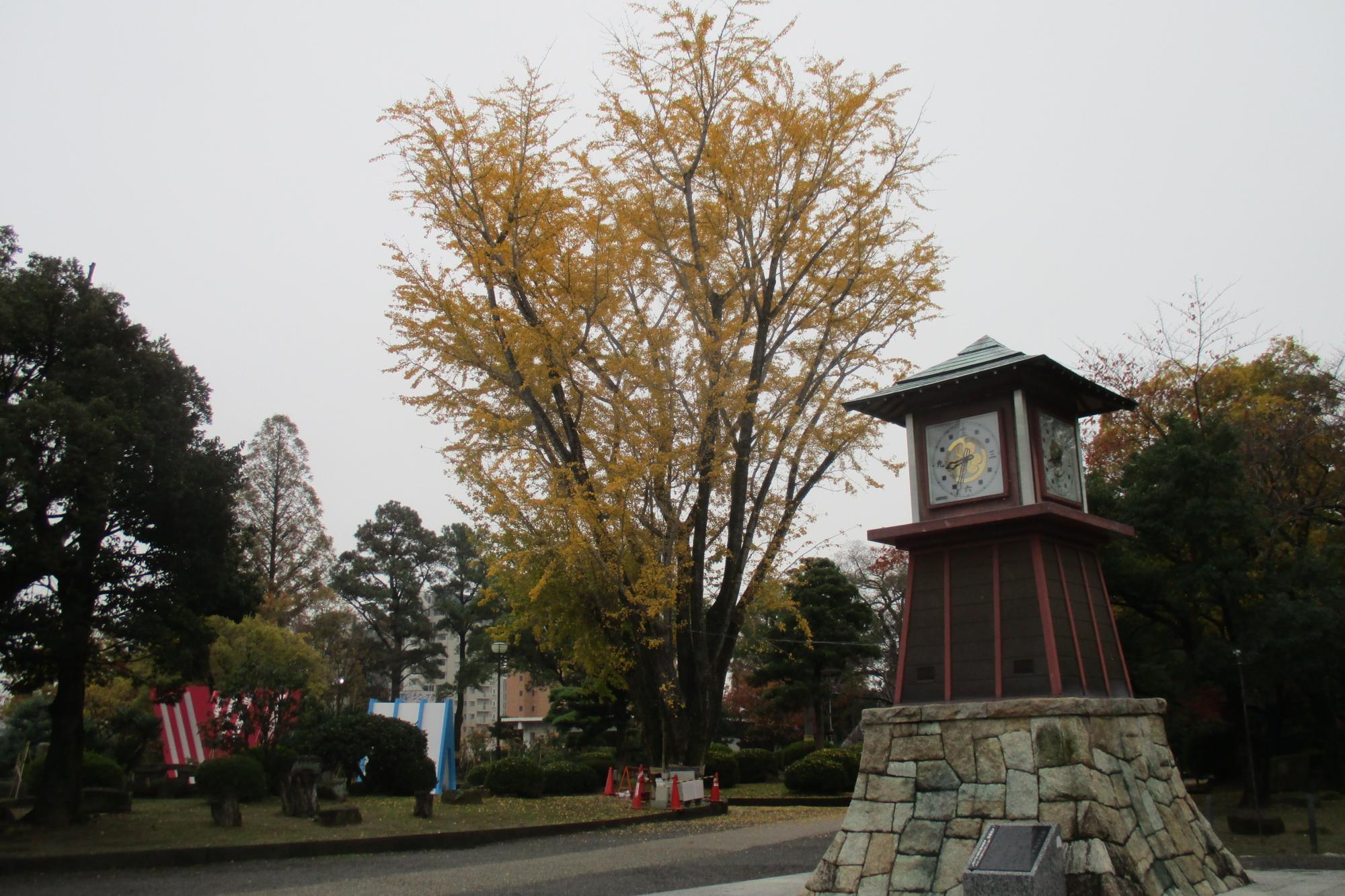 2019年11月27日(水)の紅葉状況を公開しました！