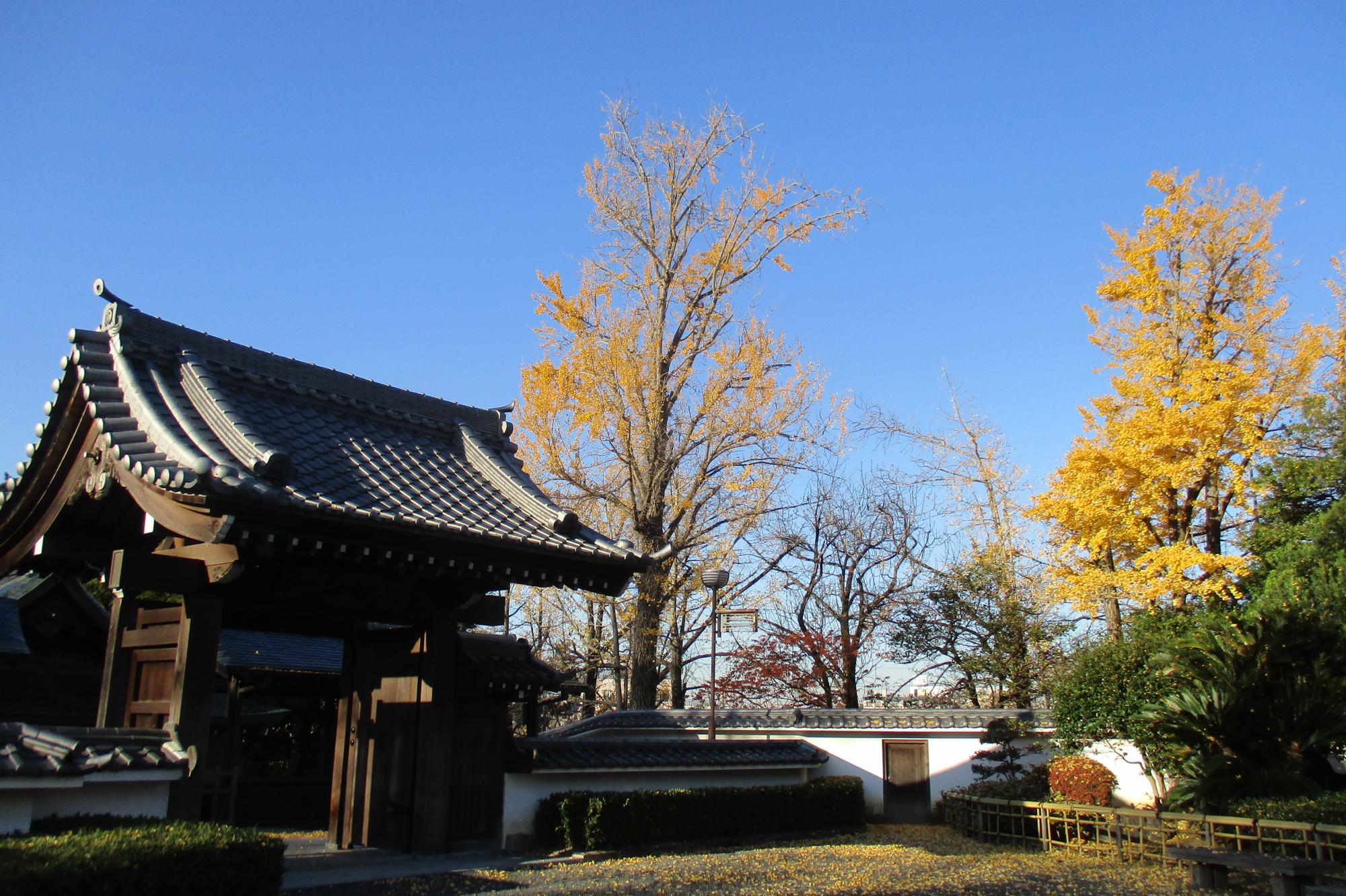 2019年12月4日(水)の紅葉状況を公開しました！