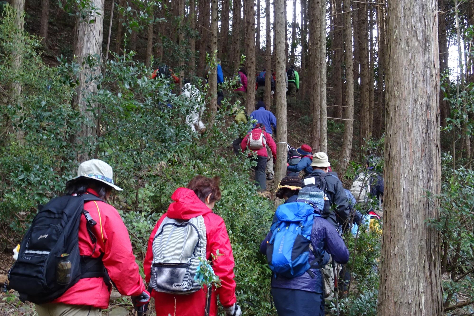 喜桜山・額堂山トレッキングに行って来ました！