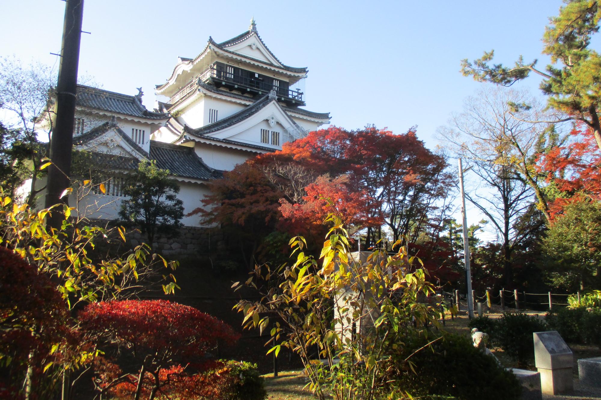 2019年12月8日(日)の紅葉状況を公開しました！