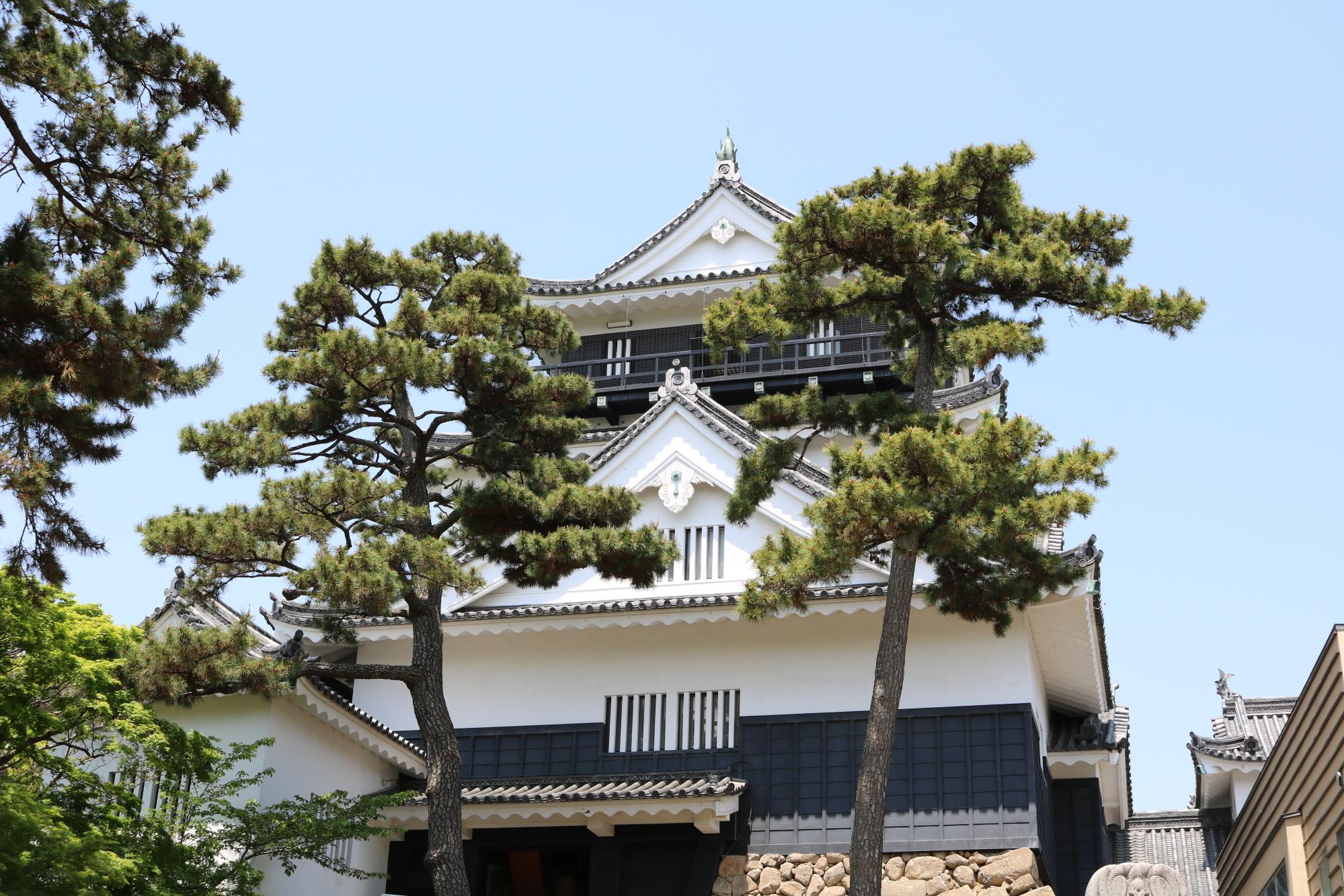 2020年1月15日（水）より「SNS割引」始まりました！